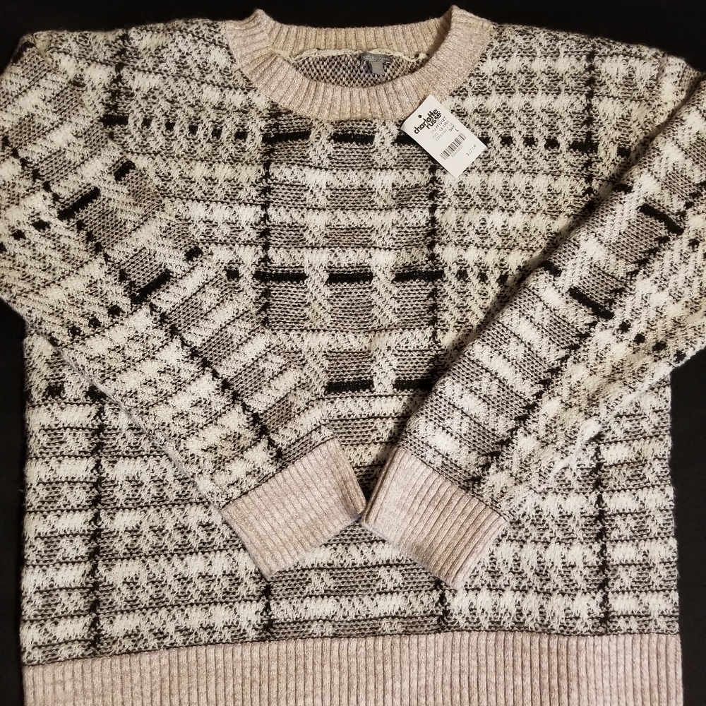 New Charlotte Russé Sweater